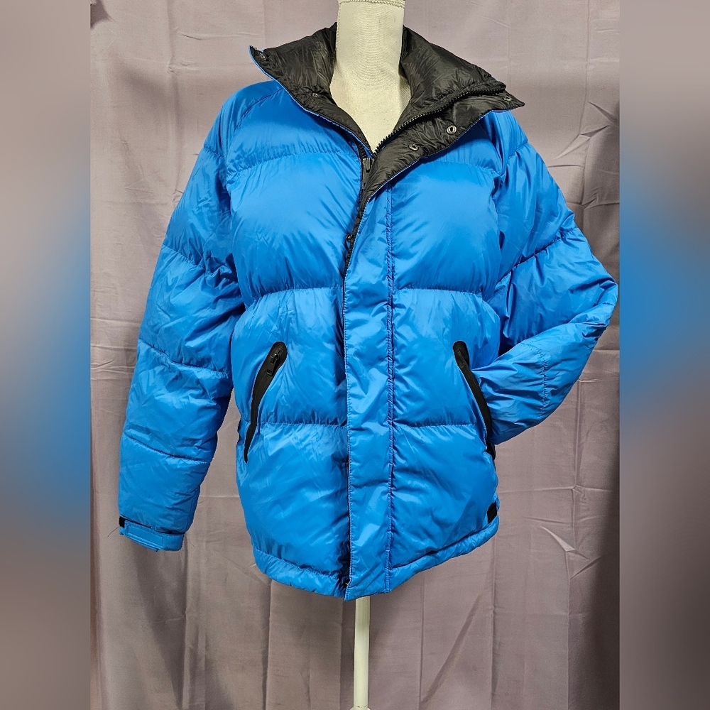 Express Electric Blue Puffer Jacket